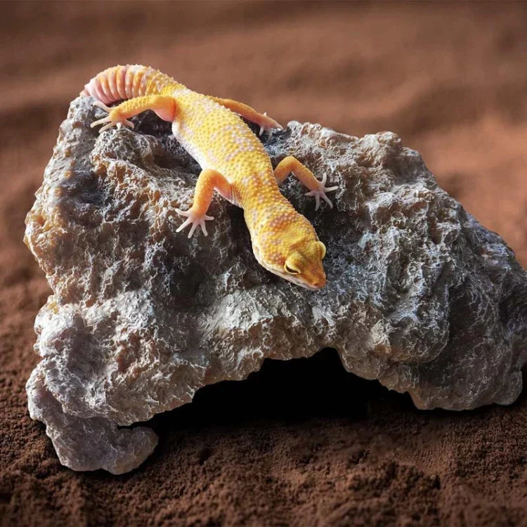 파충류 시뮬레이션 바위 은신처 거북이 선베드, S, M, L