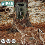 초고화질 8K 비디오 60MP 사진 와이파이 사냥 카메라, PR803W