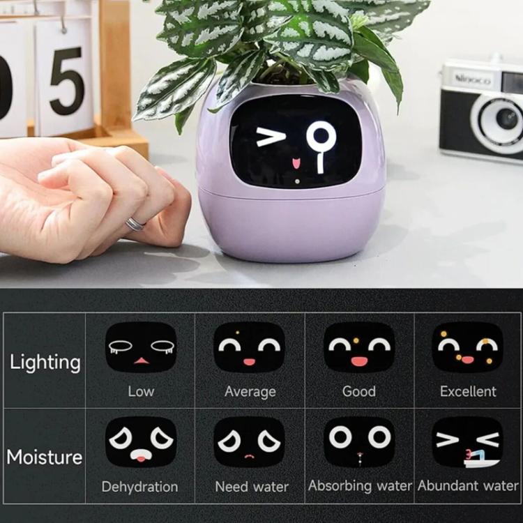 멀티 센서 WiFi 스마트 화분 2인치 스크린 탑재, Mi/Tuya 홈 에코시스템 호환