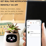 멀티 센서 WiFi 스마트 화분 2인치 스크린 탑재, Mi/Tuya 홈 에코시스템 호환