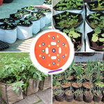 Seeding Stencil Spacing Tool Vegetable Planting Board, Round Orange, Square Green