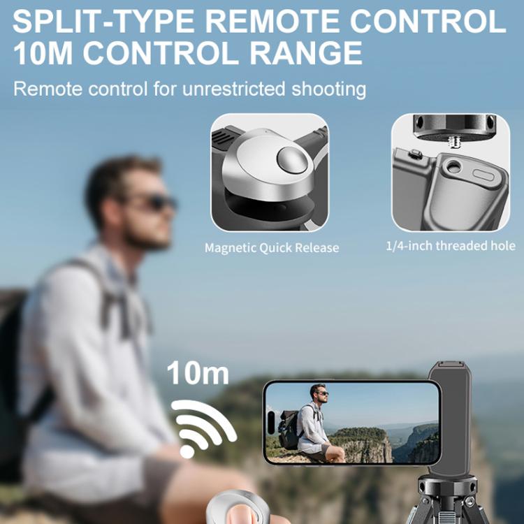 이미지 대체 텍스트