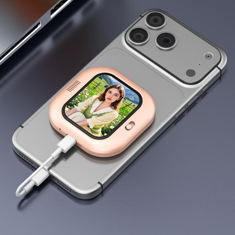 이미지 대체 텍스트