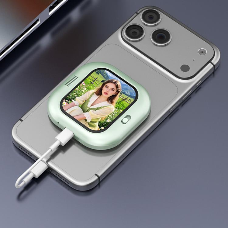 이미지 대체 텍스트