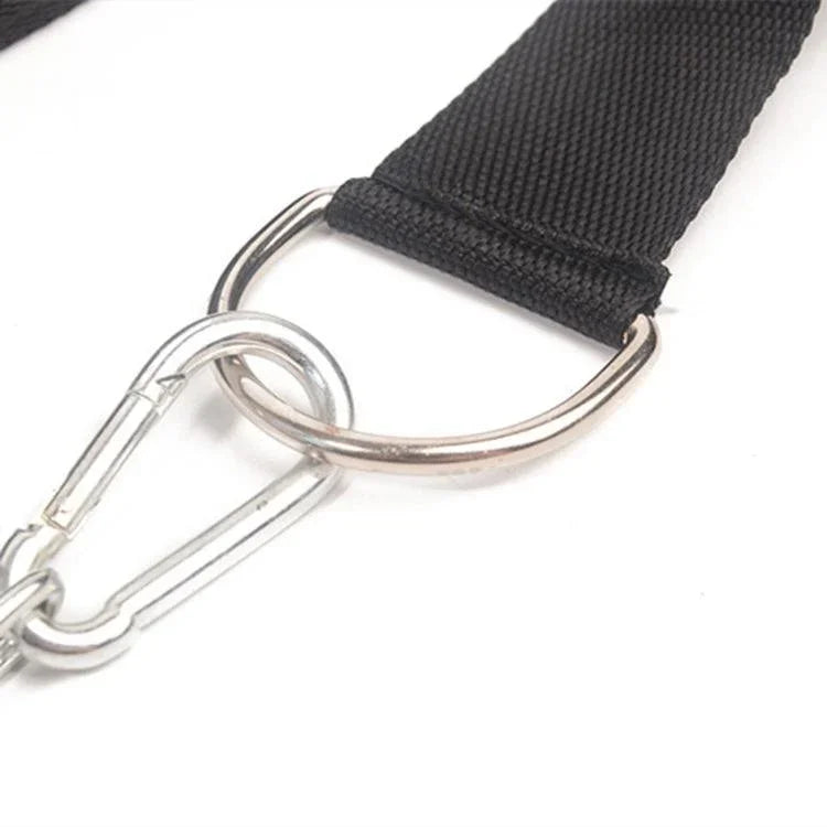 이미지 대체 텍스트