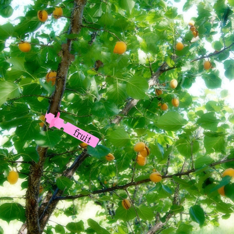 이미지 대체 텍스트