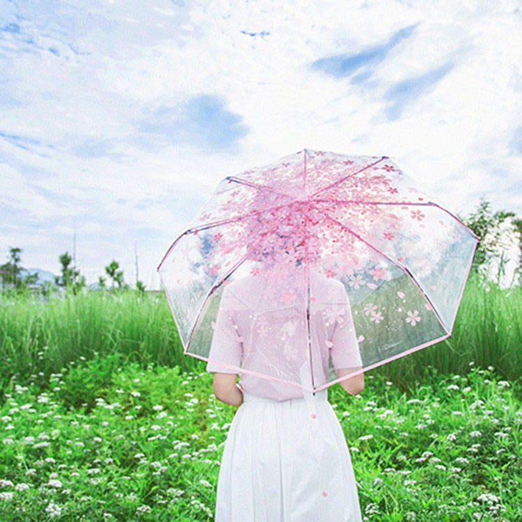 벚꽃 투명 삼단 접이식 우산 개인용 접이식 우산