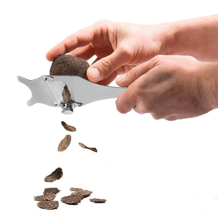 이미지 대체 텍스트
