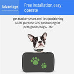 TK203 4G GPS / GPRS / GSM 개인 / 물품 / 애완동물 / 가방 위치 추적기 애완동물 목걸이 실시간 추적 장치, TK203