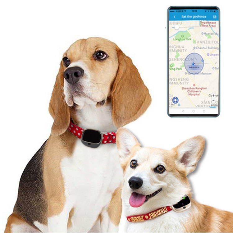 RF-V43 A 스타일 IP67 방수 GPS + LBS + WiFi 애완동물 위치 추적기 애완동물 목걸이 추적 장치 아시아/유럽/아프리카/호주용, RF-V43 A 스타일 (블랙), RF-V43 A 스타일 (화이트)