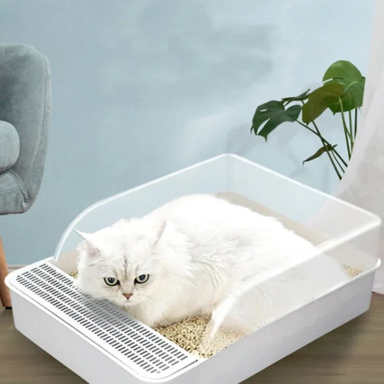 이미지 대체 텍스트