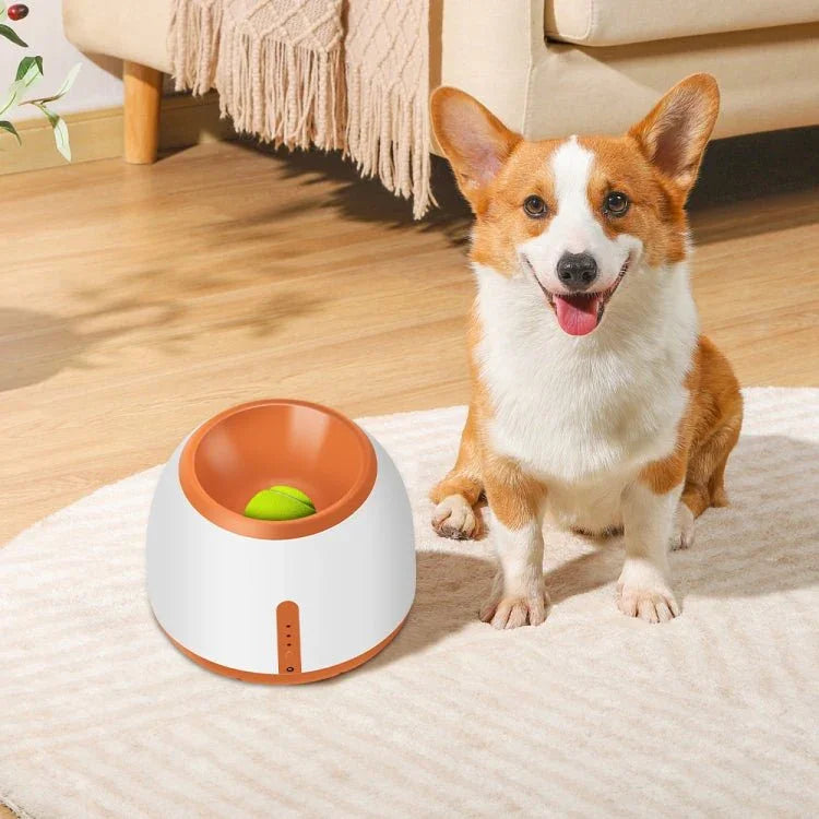 CWFQQ - 1 Tennis Ball Launcher Dogs Interactive Toys, Adapter: - Trustpick