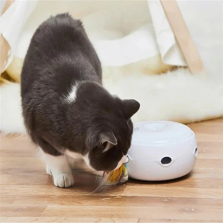 이미지 대체 텍스트