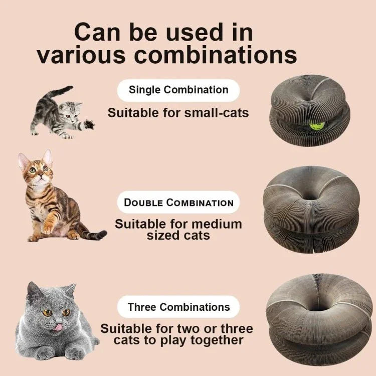 LM1012 Organ Cat Scratching Board Cat Toys With Bell - Trustpick