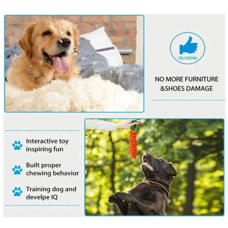 Pet Knot Chewing Toy Combination Set - Trustpick